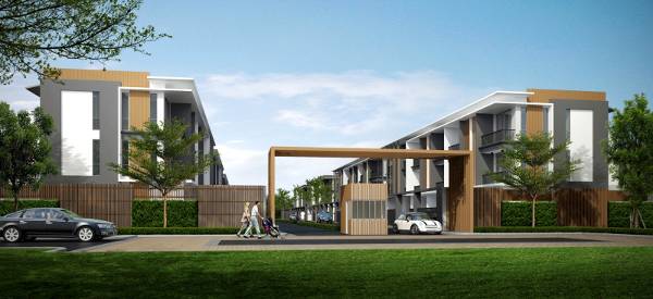 banner-project-details